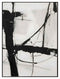 Escape, Painting, H80xW60xD3,2cm, Black/White