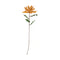 Nike, Decoration, L100cm, Tan sienna/Green