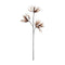Santiago, Decoration, L98cm, Mocca/white
