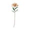 Nike, Decoration, L100cm, Sand/Green