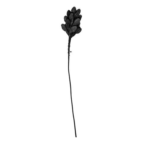 Vera, Decoration, L65 cm, Black