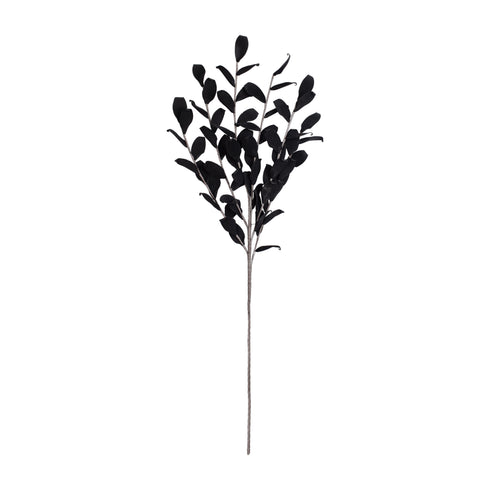 Coyet, Decoration, L118cm, Black